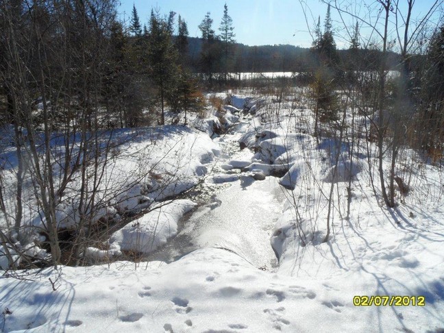 Morning walk at bird sanctuary, photo by Anne Marie Prevost