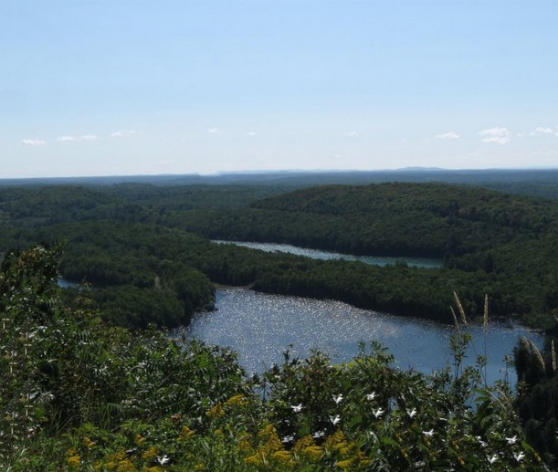 View from Fire Tower Lookout area.  Photo by Tammy Starr