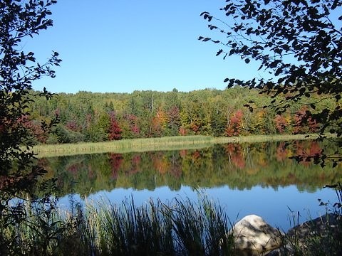 Colours on Esten lake. Photo by Gale McNichol