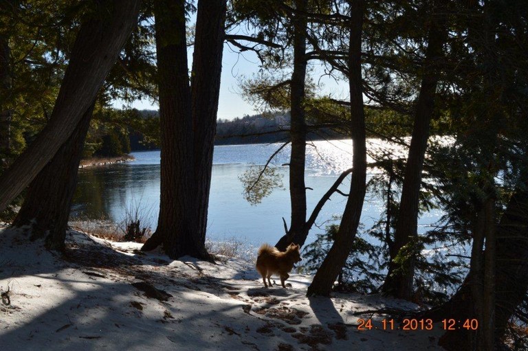 View from Horne Lake, photo by Scott Prevost