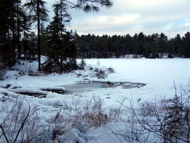 Frozen Creek