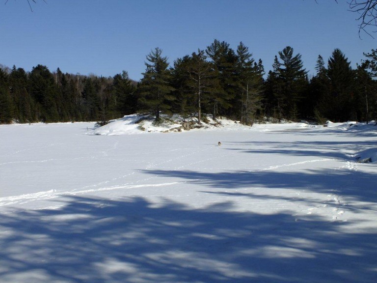 March Camping on Beaver Lake, photo by Scott Prevost