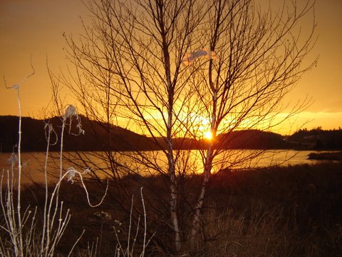 Early morning on Horne Lake...photo by Gale McNichol