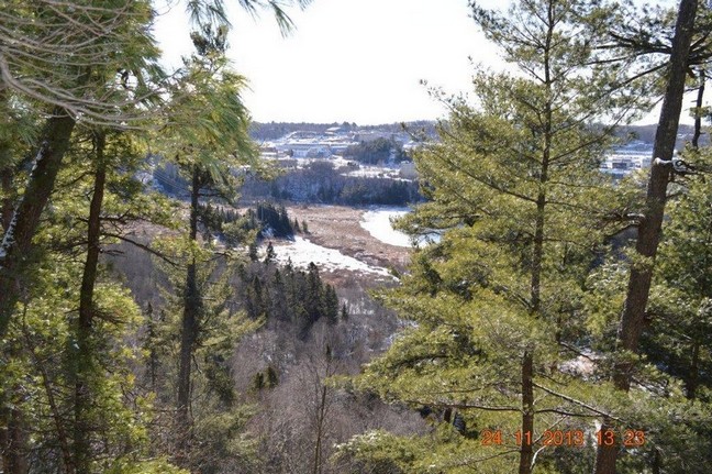 View from Horne Lake, photo by Scott Prevost