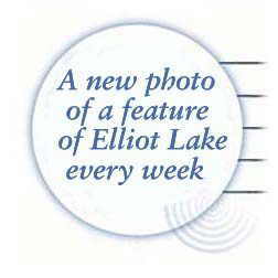 A New Photo Every Week